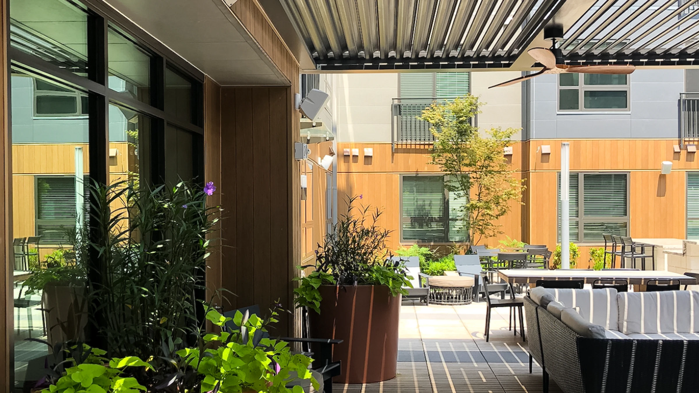 Communal Poolside Lounge with Pergola X projects commercial communal-poolside-lounge-with-pergola-x